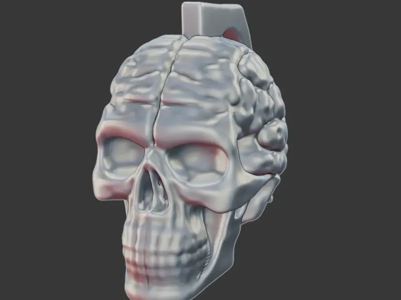 Skull with Exposed Brain 3D Print Model