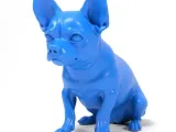 Chihuahua-0