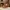 Santa Claus on a sleigh with reindeer and gifts lowpoly