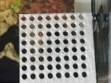 Snail Egg Shelf Holder-1
