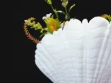 Shell Vase-4