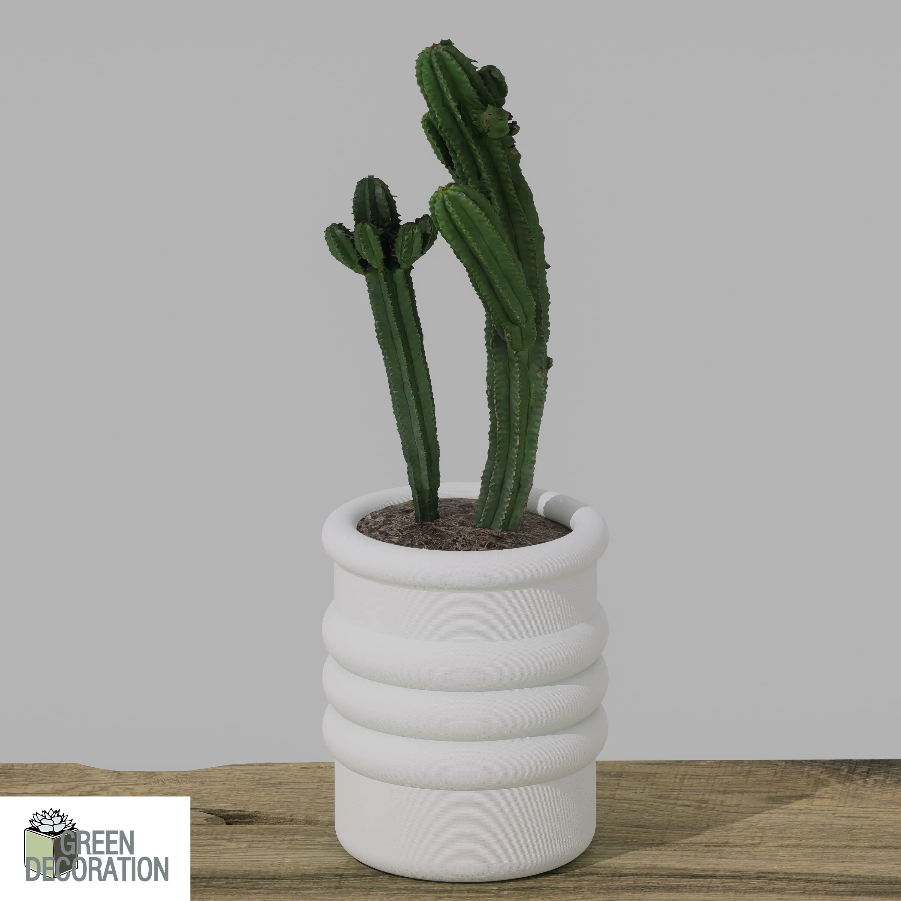 FLOWER POT FOR HOME DECORATION. FP22