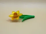Daffodil Flower-4