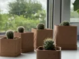 Planter-3