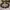DnD Spell: Arms / Hunger of Hadar