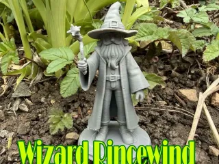 Discworld Wizard Rincewind
