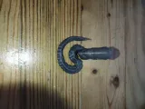 Alien Worm -4