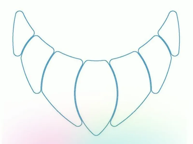 plastron  
