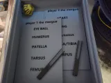 morgue the board game-4