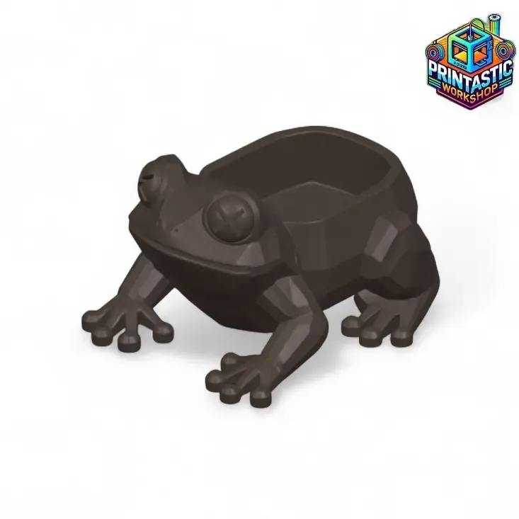 FROGGO STASH – GEOMETRIC FROG STORAGE BOX