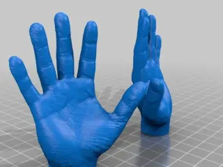 Hands