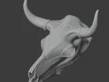 Bull Skull-3