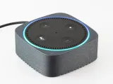 Magnetic Cover for Echo Dot-0