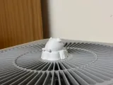 橘橘小猪-3