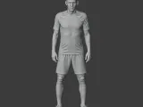 Robben Figurine-8