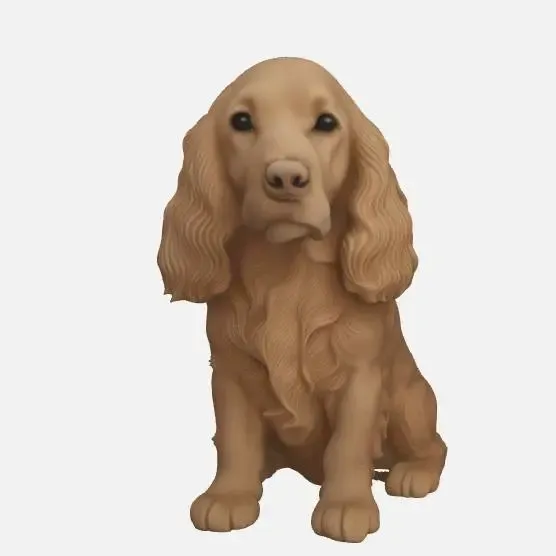 Cachorro Cocker