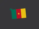 CM - Cameroon Flag keychain-1