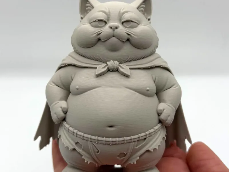 Chonky Superhero Kitten