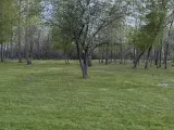 Solar light mount V2-1