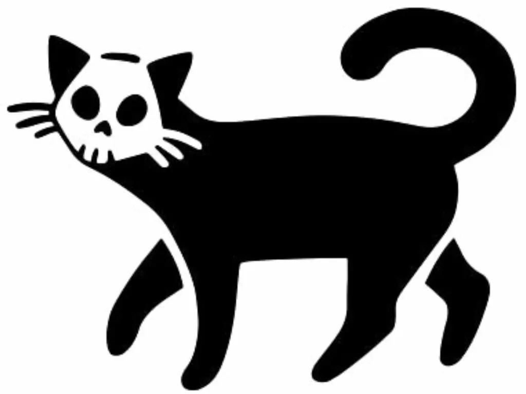 Kafatası kedi şablonu