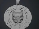 Pitbull Chain-1
