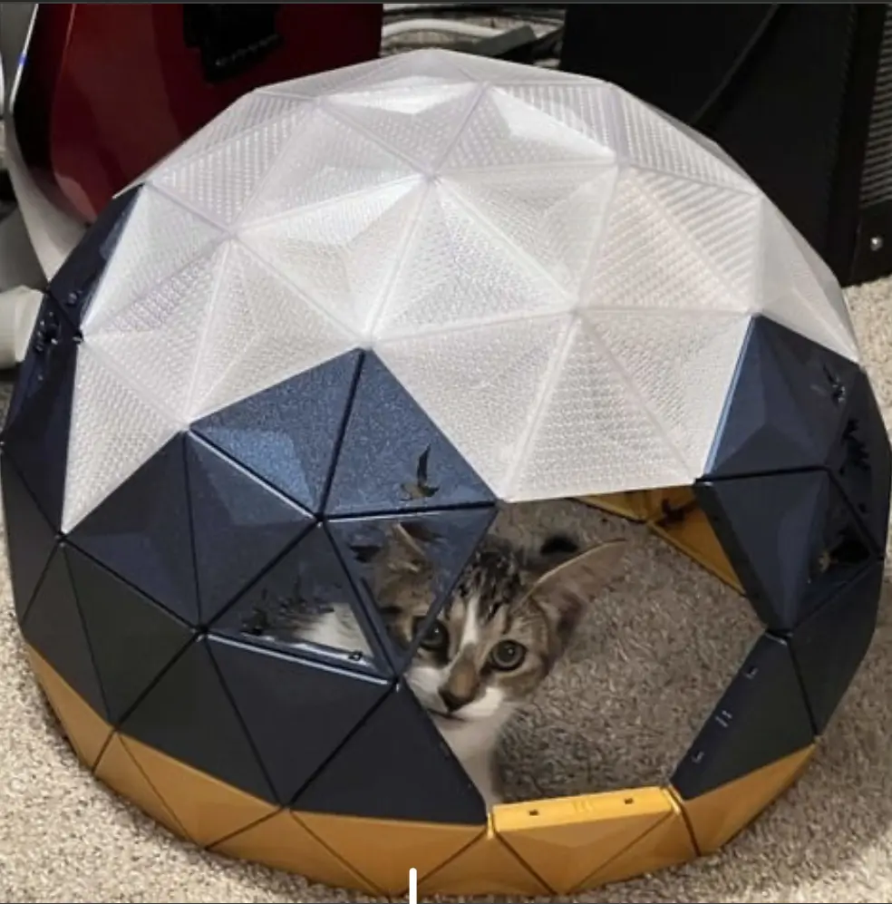 Casa para gatos com cúpula geodésica - Recortes de pinheiros
