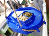 Ant-Proof Outdoor Bird & Squirrel Feeder Aerodynamic 8 Models-4