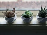 Futuristic flower pot-1