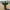cute cactus with glasses