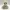 Cybernetic Skull Bust