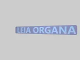 LEIA ORGANA_ star wars keychain-1