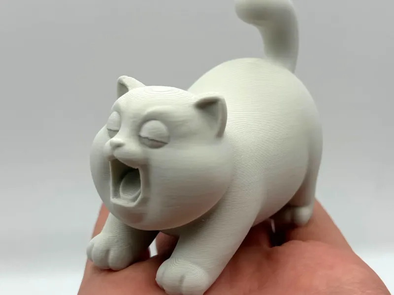 Chubby Yawn Kitten