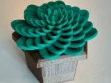 Potted Plant-3
