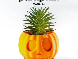 Pumpkin ⬝ Planter
