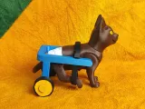 Cat with Wheelchair-2