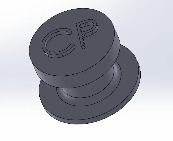 CP CROC CHARM