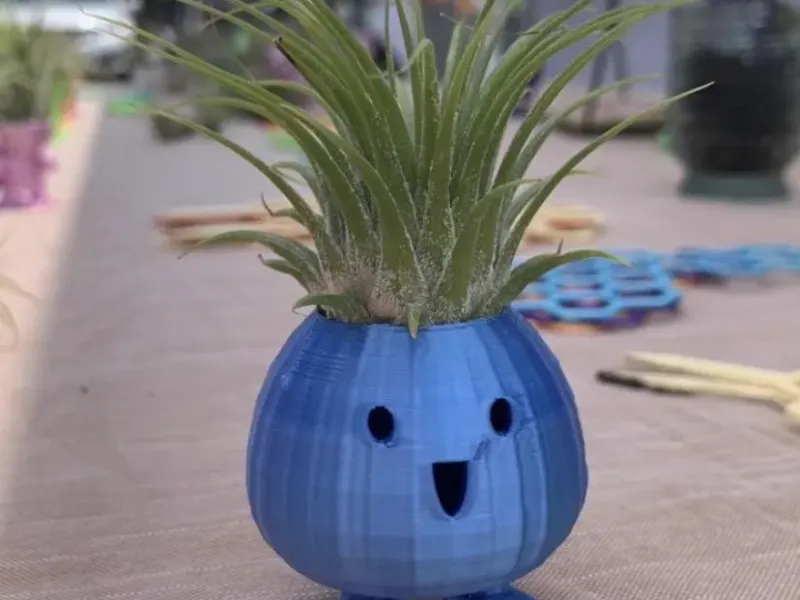 Oddish Air Plant Holder