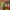 Asian chopsticks, cutlery, tweezers