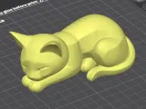 Sleeping Cat-4