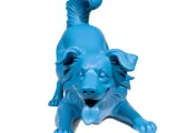 Border Collie-3