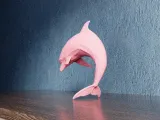 Low Poly Dolphin-6