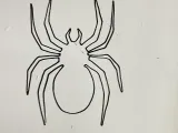 arte de pared araña-0