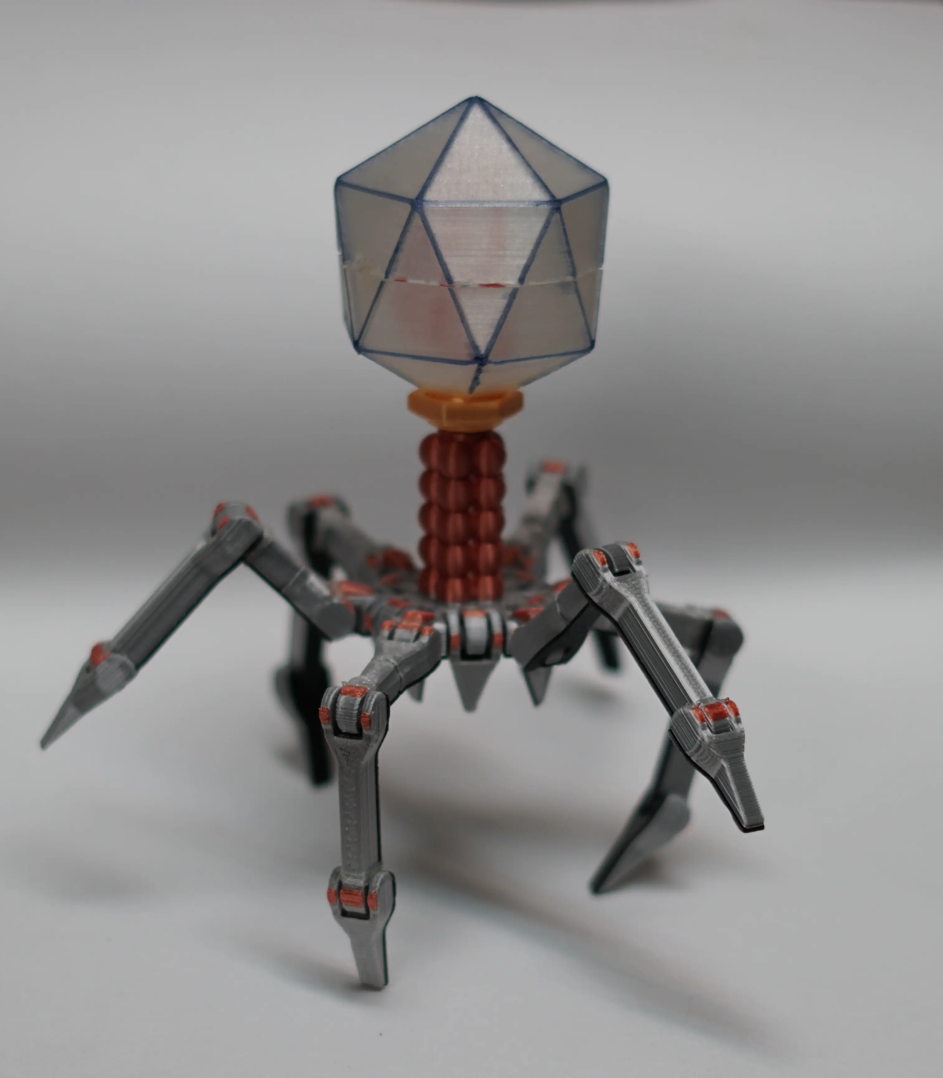 Cute Printed in Place Support Free Flexi Bacteriophage T4