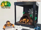 Mexican Redknee Tarantula – Tiny, Fuzzy, Poseable!-4