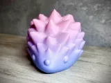 Lil’ Hedgehog-0