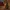 Árbol navideño