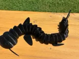 Collapsable catfish puzzle-0