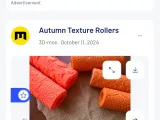 autumn rollers-1