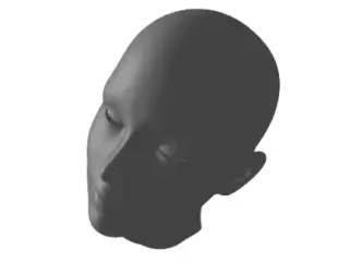 humans head