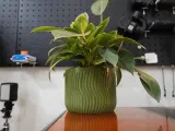 Mini Desk Planter – A Touch of Green, Anywhere, 60-140mm-7